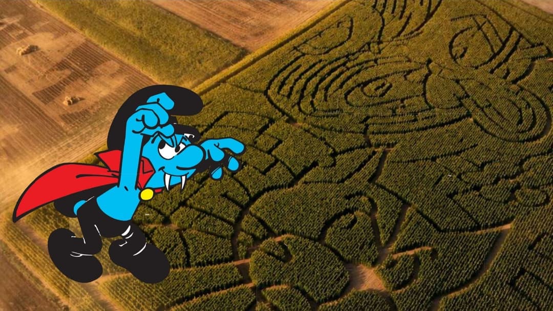 Vos places pour fêter Halloween au Labyrinthe de Tarcienne