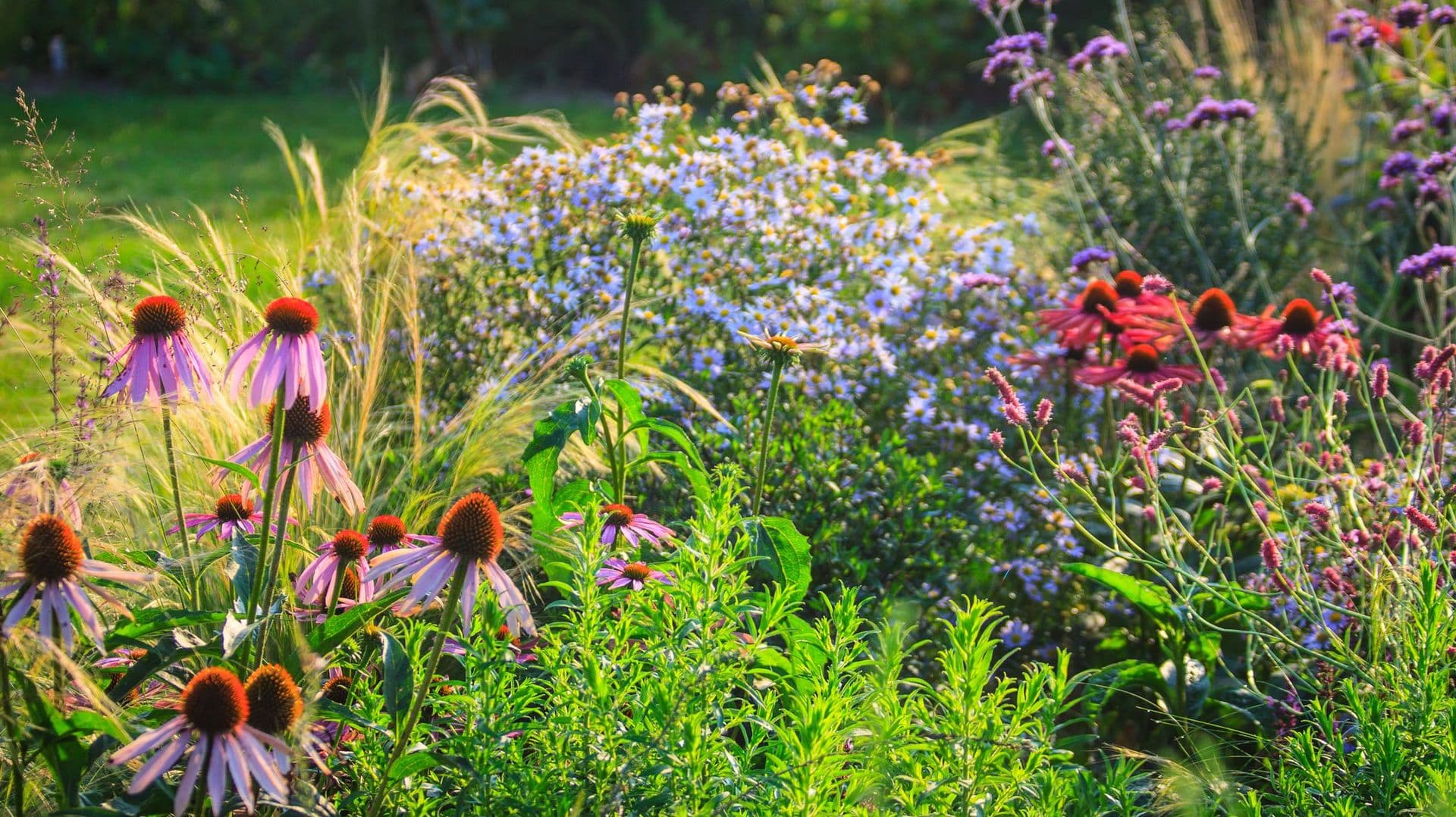 Votre exemplaire du livre "Toutes les plantes pour toutes les envies et toutes les situations"