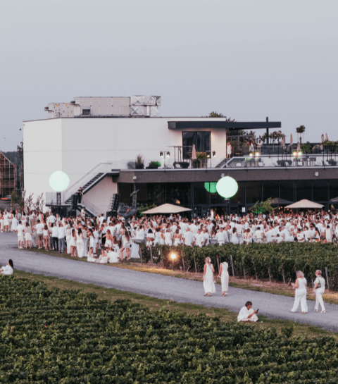 Win jouw dagpas voor de Eole Music Experience!
