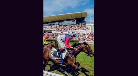 Win een ticket voor 4 personen voor Oostende Koerse op maandag 24 augustus!